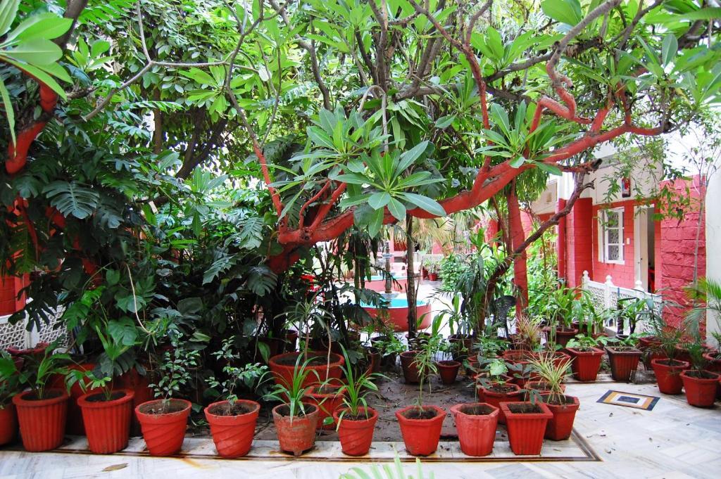 Hotel Tourist Rest House Agra Agra  Exterior foto