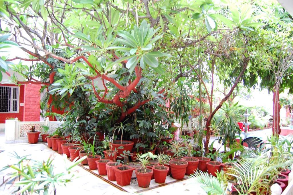 Hotel Tourist Rest House Agra Agra  Exterior foto